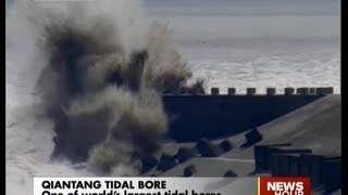 One Of Worlds Largest Tidal Bores Surges Across Qiantang River [upl. by Aleacem]