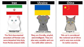 Cats From Different Countries [upl. by Narbig]