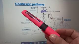 Neurohumoral transmission of GABA [upl. by Carmencita306]