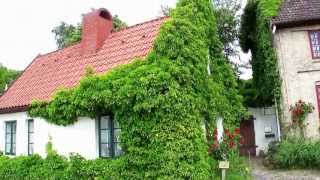 Romantik house germany with green plants romantisch bewachsenes Haus in Neustadt Holstein Ostsee [upl. by Ecnerwal]