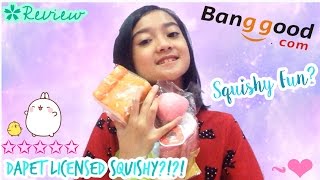 DAPET LICENSED SQUISHY 2 Review Package from banggoodcom Indonesia [upl. by Chaille]