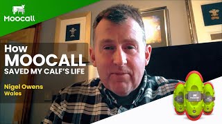 Nigel Owens from Wales talks about how the Moocall Calving Sensor helps him on the farm [upl. by Cristal]