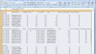 FastPCR running PCR and loading file 2 [upl. by Joceline]