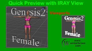 DAZ Studio Quick Preview with Iray View [upl. by Tam]