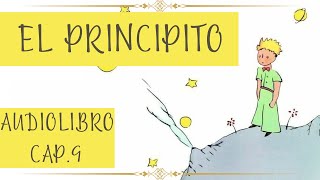 EL PRINCIPITO Cap 9 AUDIOLIBRO [upl. by Mcneely]