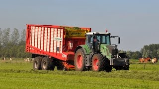 Fendt 828 vario amp Pöttinger Jumbo 7200  Willlem Claeys  gras oprapen [upl. by Bouldon]