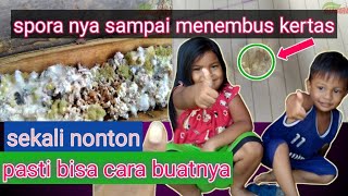 tutorial lengkap cara pembuatan jamur trichoderma [upl. by Xonk731]