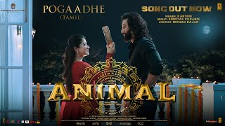 ANIMAL Tamil Pogaadhe Song  Ranbir KapoorRashmika M  KarthikShreyas PMohan R Sandeep Reddy V [upl. by Antonin46]