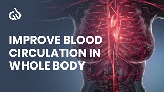 Blood Circulation Frequency Rife Frequency for Better Blood Flow [upl. by Caves167]