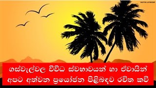 ගස් වැල් ගැන කවි සහ ගීත  Gas wal gana kavi geetha  පරිසරය 3 ශ්‍රේණිය [upl. by Anaed]