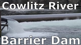 Fishing Barrier DamCowlitz River [upl. by Jezrdna]