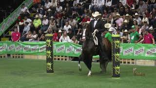 DIAMANTE CAOTICO DE SALEM CAMPEON JOVEN TROCHA COLOMBIANA COPA CIUDAD MEDELLIN GRADO A 2024 [upl. by Ahseret]