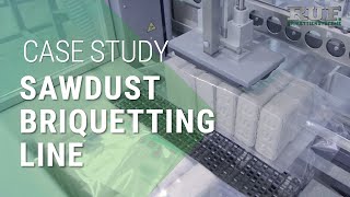 Briquetting line sawdust  Wood briquette machine case study [upl. by Sams779]