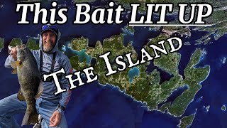 This Bait LIT UP The Island  Episode 5 [upl. by Eladnek]