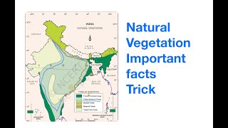 Trick Geography of India Natural Vegetation with solved Previous Year questions [upl. by Zohar3]