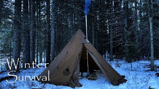 Solo Winter Hot Tent Camping in the Canadian Rockies [upl. by Danita861]