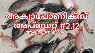 അക്വാപോണിക്‌സ് അപ്ഡേറ്റ് 212  aquaponics malayalam  hydroponics  fish farming [upl. by Nnoryt]