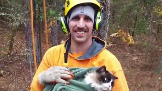 Southern Oregon Arborist  Tree Work Rigging Zipline Speed line Technique [upl. by Oneal]