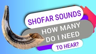 How Many Shofar Sounds Do I Need To Hear On Rosh Hashanah [upl. by Naedan512]