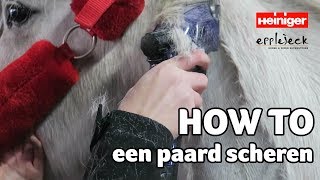 HOW TO een paard scheren  DEEL1  62  Epplejeck [upl. by Lynde]