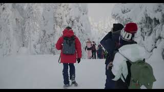 Trekking con Raquetas de Nieve [upl. by Tades]