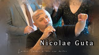 Nicolae Guta  Lume lume ceai cu mine  Live 2024 [upl. by Neirol]