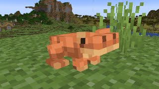 I Fixed Frogs in Minecraft [upl. by Oric640]