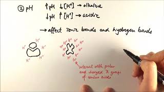 Chapter 31 Introduction to Enzymes [upl. by Troyes]