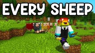 I Collected EVERY Kind Of Sheep in Minecraft Hardcore [upl. by Anilasor]