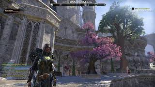 City of Alinor in Summerset ESO [upl. by Norret531]