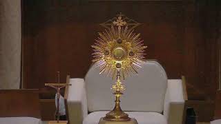 Holy Rosary and Daily Mass 06112024 [upl. by Crescen]