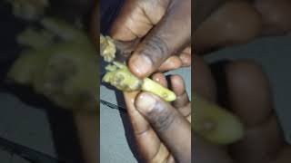 pomme de terre cusine short cuisine africainefood cooking streetfood [upl. by Oigufer]