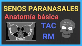 SENOS PARANASALES ANATOMÍA radiológica👃 [upl. by Nitsua]