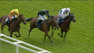 River Of Stars strikes in thrilling £100000 Bronte Cup at York  Racing TV [upl. by Falito601]