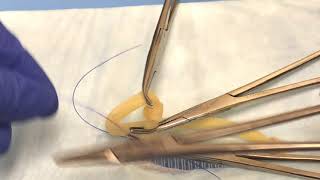 Clamping and ligating ovarian pedicle [upl. by Ardnatal]