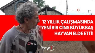 12 Yıllık Çalışmasında Yeni Bir Cins Büyükbaş Hayvan Elde Etti [upl. by Alemrac]