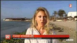 Reportage JT 20 H  France 2  7 Juillet 2012  quot TUNISIE  le Retour des Touristes quot [upl. by Treiber848]