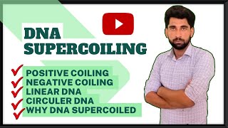 DNA Supercoiling UrduHindi by Mushtaq saqib [upl. by Annaig358]