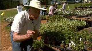 Largest Herb Festival In US As Seen On Public TV [upl. by Nytsuj]