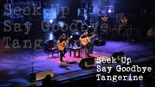 Dave Matthews amp Tim Reynolds  Seek Up  Say Goodbye  Tangerine  Audios Live Trax 23 [upl. by Delmor]