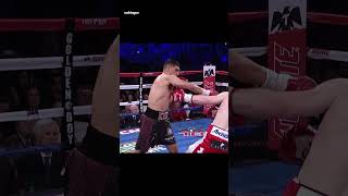 Breakdown of Canelos Devastating Knockout of Amir Khan in Boxing Fight [upl. by Enahpets]