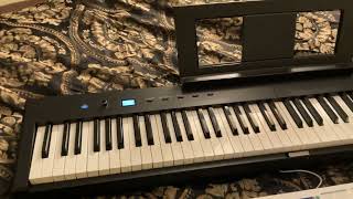 Kris Nicholson’s New Travel Pianos he got at Namm 2024 Medeli MK49 and Beisite Folding 88 key piano [upl. by Eadrahc]