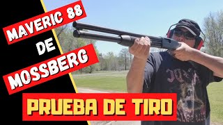 PRUEBA DE TIRO ESCOPETA MAVERICK 88 CAL  12 [upl. by Blinni]