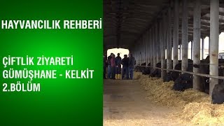 Hayvancılık Rehberi  Çiftlik Ziyareti  Gümüşhane  Kelkit  2Bölüm [upl. by Gilbye]