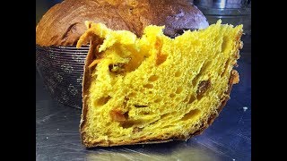 Panettone agrumi ricetta Maestro Alfonso Pepe  Primo impasto lievito madre [upl. by Euqenimod]