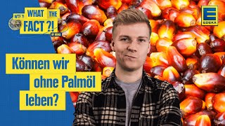 Palmölverbrauch  Welche Auswirkungen hat Palmöl auf die Umwelt [upl. by Crain]