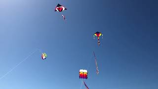 Two Deltas and Parafoil 5 Kites [upl. by Kile]