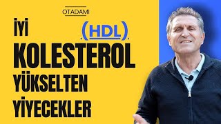 HDL KOLESTEROL NEDİR I İYİ KOLESTEROL İYİ HUYLU KOLESTEROL HDL KOLESTEROL NASIL YÜKSELTİLİR [upl. by Trella]