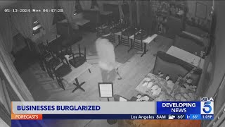 Burglar breaks into Glassell Park businesses [upl. by Trescha]