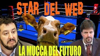 STAR DEL WEB  LA MUCCA DEL FUTURO HIGHLANDER DJ TRAINING EDIT [upl. by Silsby579]